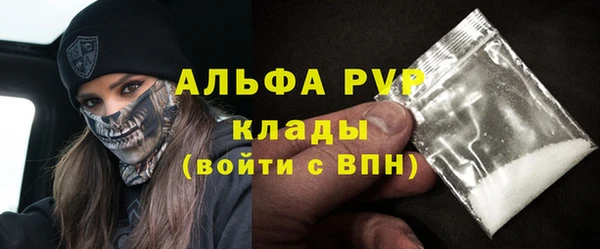 спайс Пересвет