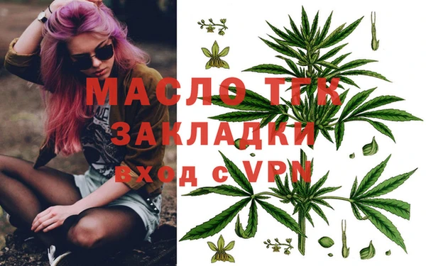 твердый Осинники