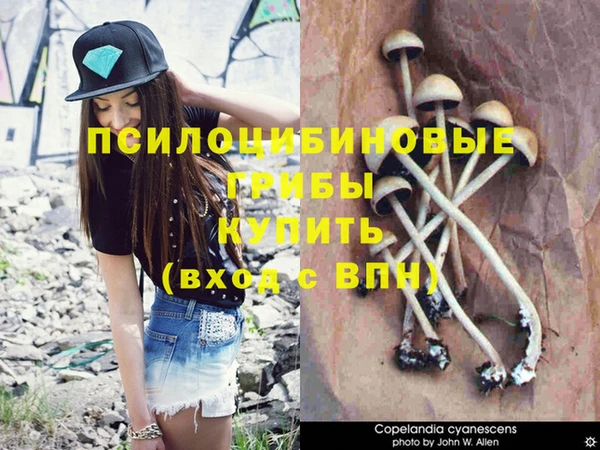 эйфоретик Осташков