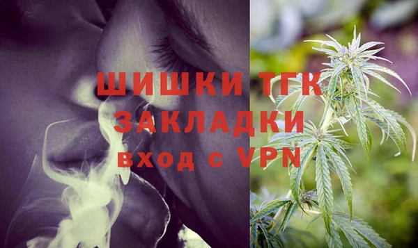 твердый Осинники