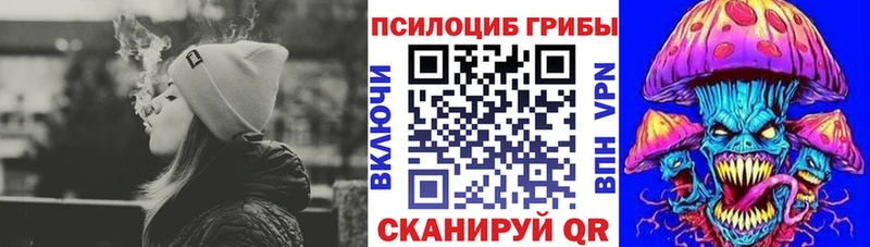 гидра как зайти  Рязань  Галлюциногенные грибы MAGIC MUSHROOMS  закладки 